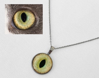 Cat Eye Necklace Silver Evil Eye Necklace Animal With Chain Gift Stainless Steel Epoxy Necklace Jewelry