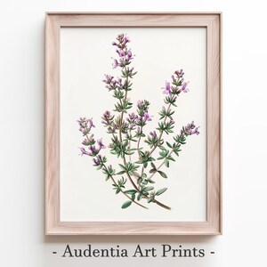 Printed Herb Wall Art Poster