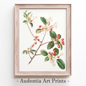 Printable Honeysuckle Wall Art
