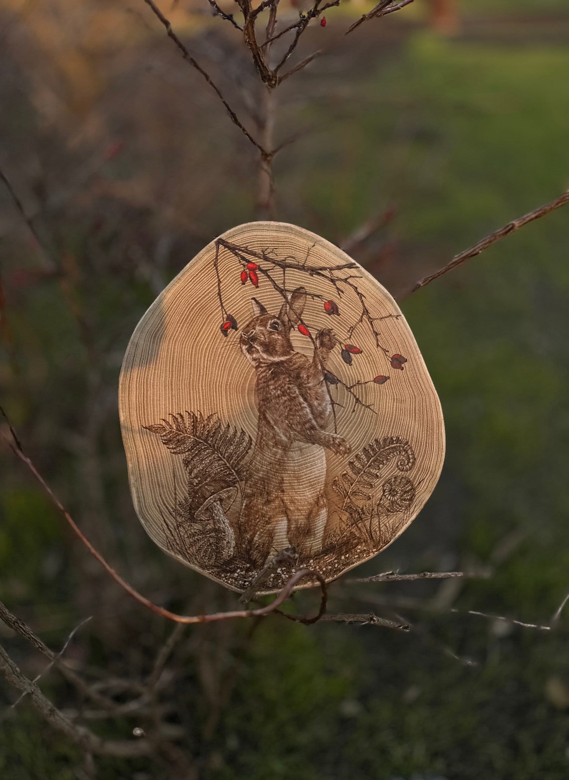 Cedric the Wood Hare Decoration