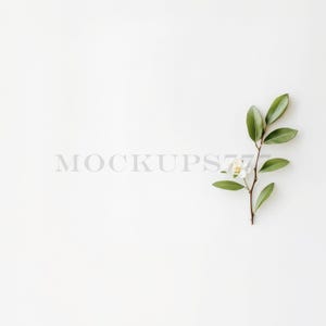 Maquete floral branca, maquete plana, layout de cartão de casamento, aniversário, maquete branco puro