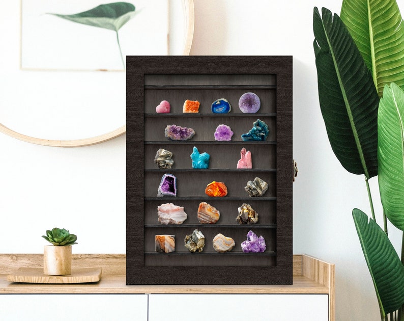 Sea Shell Storage, Dice Collection, Wood Display Case, Rock Collection ...