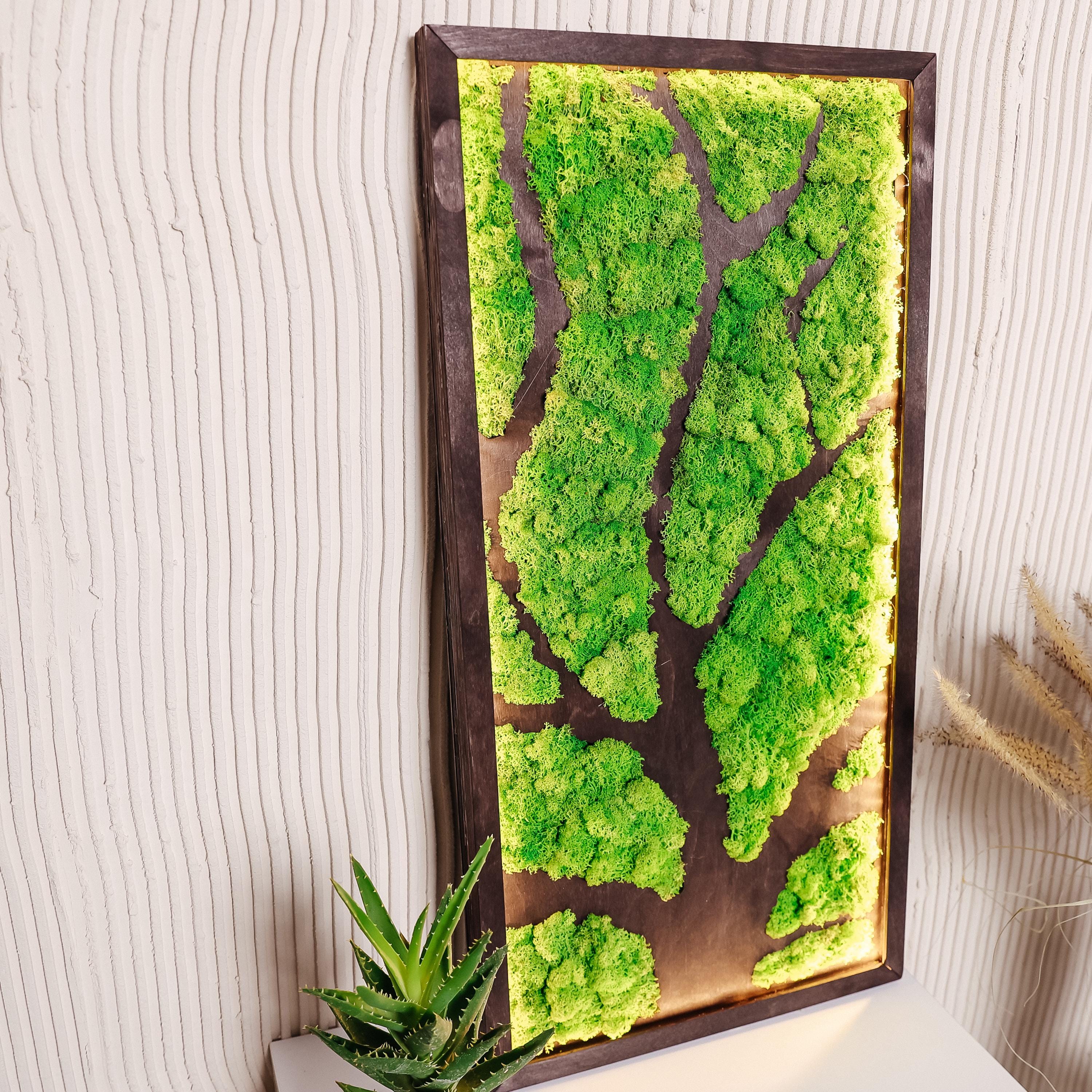 Moss Tree wall art decor with led, Preserved Moss tree decor, Natural dried moss wall decor, Wall moss decor with led, Aesthetic home decor
