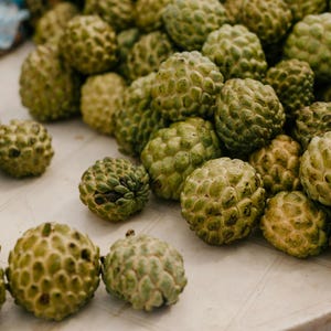 Fresh Sugar Apple Anon, 10 Seeds Fruit-tropical fruit tree seeds-tropical seeds-permaculture-food forest-seeds-gardening-subtropical