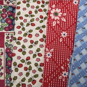 May include: Four strips of patterned fabric displayed side by side. The first features a dark red floral grid. The second is a cream background with red strawberries and small pink flowers. The third is red with white flowers and dashed lines. The fourth is a blue checkered pattern with tiny floral accents.