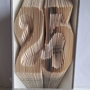 以下が含まれることがあります： 本のページを3Dのデザインに折りたたんで作った本の芸術彫刻。本は灰色の表紙に製本され、銀色のリボンが巻かれている。