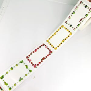 25 pcs/lot 30*50 mm Étiquette vierge Cuisine Réfrigérateur Classification du stockage des aliments Étiquette de contenu avec cadre de fruits sur le bord pour bocal