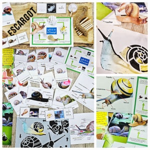 Cycle de vie de l'escargot, documents linguistiques - cartes de nomenclature - jeu éducatif d'apprentissage  Montessori Personnalisé