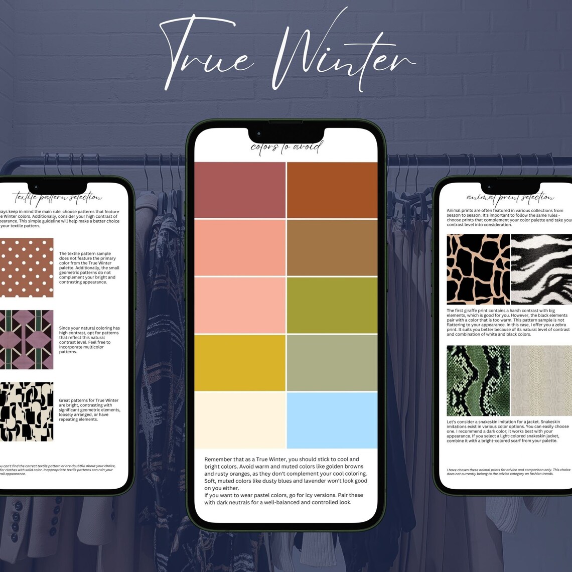 True Winter Palette | 12 Seasons Color Guide | Digital Color Swatches ...
