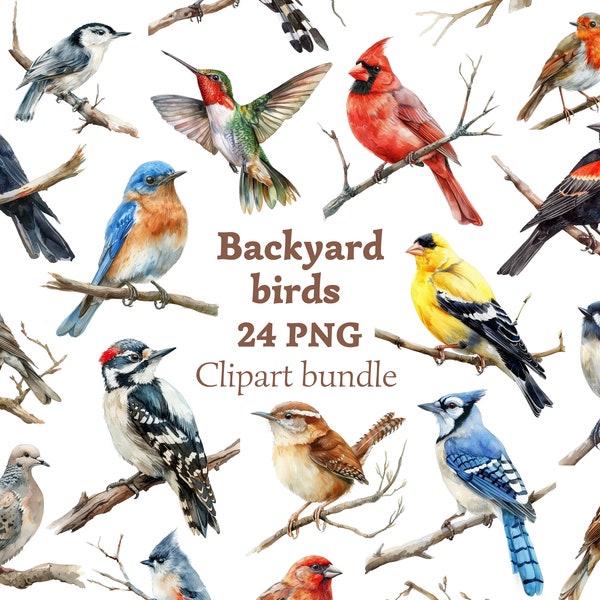 Backyard birds printable clipart set, Garden birds clip art bundle, Birdwatching clipart wildlife America, Animal illustrations collection