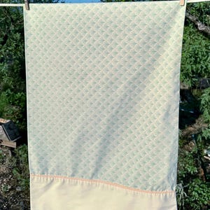 May include: A rectangular pillowcase featuring a light green fabric with a repeating fan-shaped pattern. The lower section consists of a solid cream-colored band separated from the patterned fabric by a thin, light orange horizontal trim.