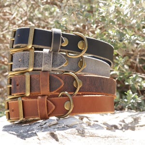 May include: Four leather dog collars stacked on top of each other. The collars are in different colors: black, gray, brown, and tan. The collars have brass buckles and D-rings.
