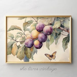 May include: Watercolor painting of a branch of a tree with purple and yellow plums. The plums are clustered together on the branch, with some leaves visible. A butterfly is flying near the plums.