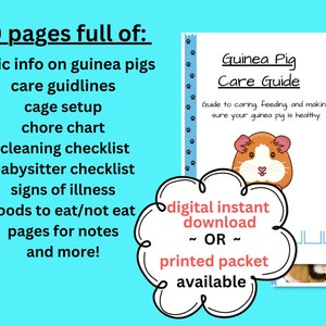 Curated visual reference: Picture Idea: Guinea Pig Care Guide First Time Pet Owner Small Mammals