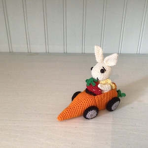 Bunny and Carrot Car