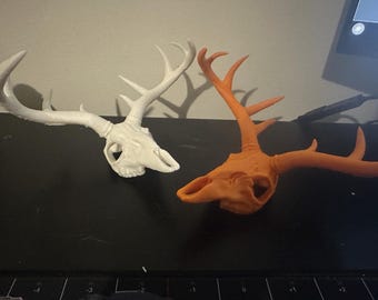 3D Printed Deer Skull