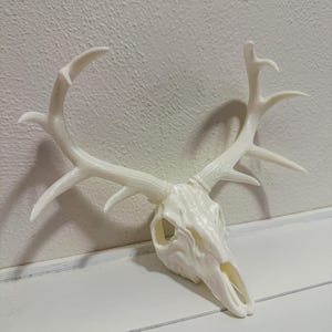 3D Printed Deer Skull