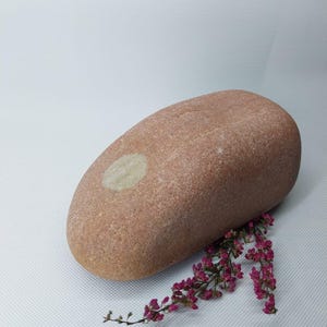 Very Rare Natural Beach Stone.Large Sea Rock For Aquarium.Stone Door Stop. #1