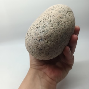 Könnte beinhalten: Ein glatter, oval geformter Stein mit einer gesprenkelten, hellbraunen Oberfläche. Der Stein wird in einer Hand gehalten, wodurch seine natürliche Textur und Form hervorgehoben werden. Die Farbe des Steins ist eine Mischung aus Beige und Grau mit dunkleren Sprenkeln.