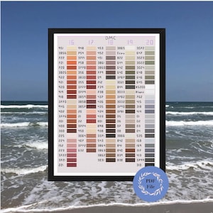 May include: A DMC colour chart with a grid of 100 colour squares. The chart is labelled with DMC thread numbers and colour names. The colours range from white to black, with shades of brown, beige, red, orange, and yellow.