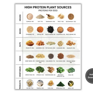 Vegan Protein Sources Chart, Best Plant Protein Poster, Plant Based Diet Cheat Sheet, High Protein Food List, Protein Guide, Printable PDF