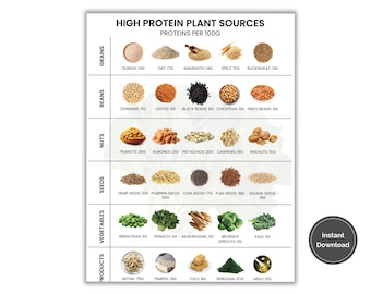 Vegan Protein Sources Chart, Best Plant Protein Poster, Plant Based Diet Cheat Sheet, High Protein Food List, Protein Guide, Printable PDF