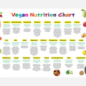 Tabella degli alimenti vegani, Tabella delle proteine vegetali, Guida agli alimenti vegani, Guida nutrizionale, download digitale PDF