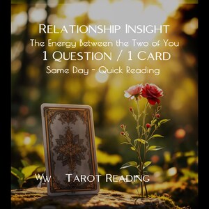 Può includere: Una carta dei tarocchi con un design ornato in oro e nero si trova in posizione verticale accanto a uno stelo con una rosa rosa e una rossa. Il testo recita: RELATIONSHIP INSIGHT, The Energy Between the Two of You, 1 QUESTION / 1 CARD, Same Day - Quick Reading, WW TAROT READING.