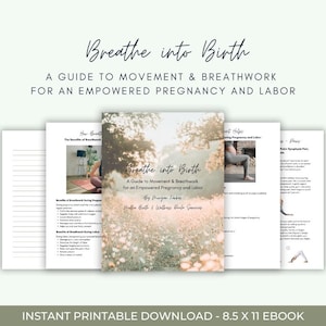 Puede incluir: Un ebook imprimible titulado "Breathe into Birth: A Guide to Movement & Breathwork for an Empowered Pregnancy and Labor" de Prueger Farkas. La portada presenta una imagen borrosa de un campo verde con flores blancas y el texto "Breathe into Birth" en blanco.