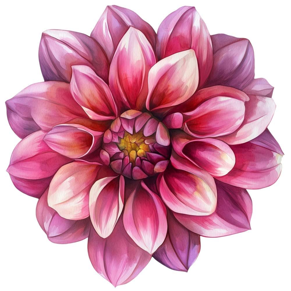 水彩画(ダリア)№164 水彩画ダリアの花のクリップアート12点 - PNG花グラフィック、透明な