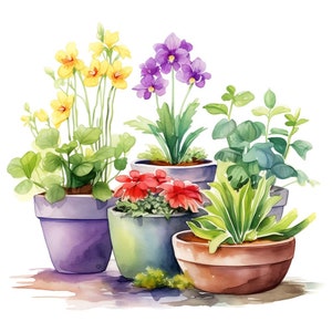 Może przedstawiać: Akwarela przedstawiająca pięć roślin doniczkowych z kwiatami w różnych kolorach. Rośliny znajdują się w doniczkach o różnych rozmiarach i kształtach, w tym fioletowych, brązowych i niebieskich. Kwiaty są żółte, fioletowe i czerwone.