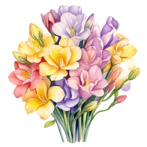 May include: Watercolor painting of a bouquet of freesia flowers. The flowers are in shades of yellow, pink, purple, and orange, with green stems and leaves. The artwork is on a white background.