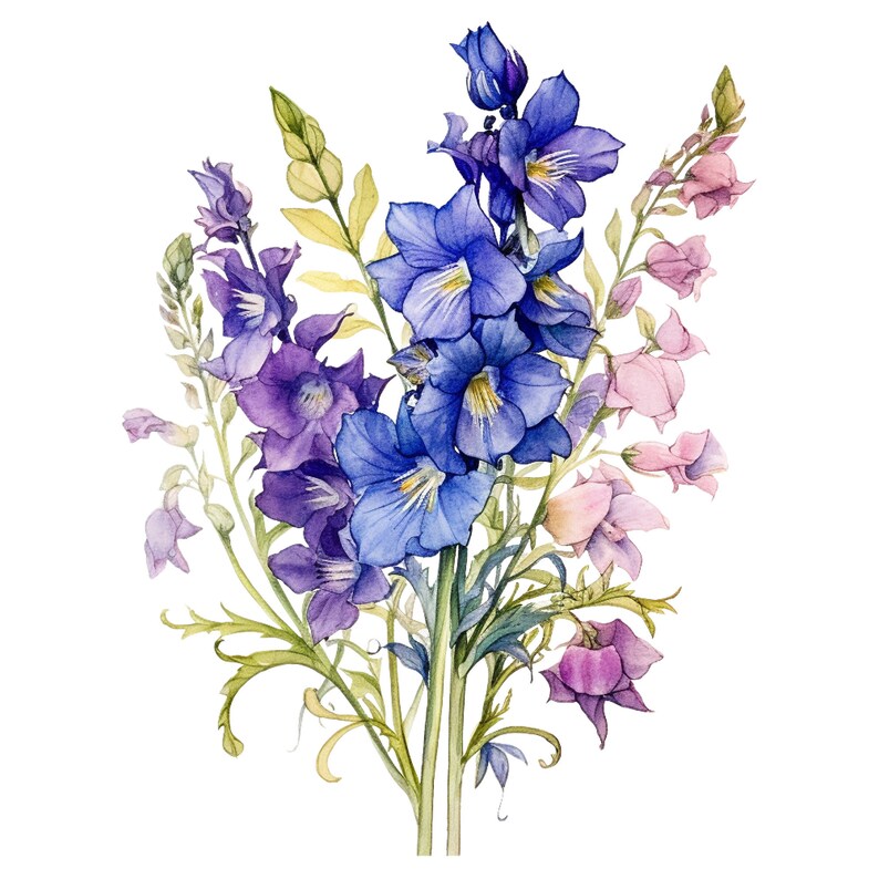 May include: Watercolor illustration of a bouquet of flowers. The arrangement features vibrant blue, purple, and pink blossoms with green stems and leaves. The flowers are painted in a realistic style against a white background.