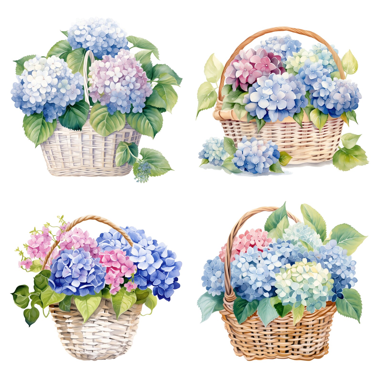 10 Basket of Hydrangeas Watercolor Clipart - Printable PNG Files for ...
