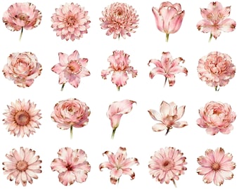 20 Watercolor Rose Gold Flowers Clipart Graphics - Printable Floral PNG Files Transparent Background