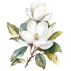 10 Watercolor White Magnolias Floral Clipart - Digital Download PNG Files For Commercial Use Transparent Background - Cards, Papercraft