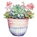 10 Pastel Succulents Watercolor Clipart Graphics - Digital Download PNG ...