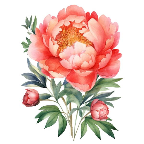 10 Watercolor Coral Peonies Floral Clipart - Digital Download PNG Files For Commercial Use Transparent Background - Cards, Papercraft