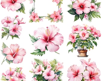 10 Watercolor Pink Hibiscus Floral Clipart Graphics - Digital Download PNG Files Transparent Background