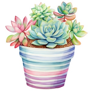 10 Cute Pastel Succulents Watercolor Clipart Graphics - Digital Download PNG Files, Commercial Use, Transparent Background - Papercraft