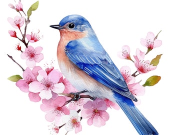 10 Watercolor Cute Bluebird Clipart - Bird Graphics Digital Download PNG Files For Commercial Use Transparent Background - Cards, Papercraft