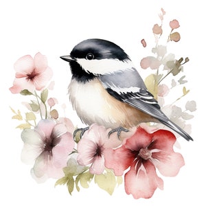 16 cliparts aquarelle mignon mésange oiseau - fichiers PNG imprimables Clip Art avec fond transparent - pour la fabrication de cartes, la papeterie