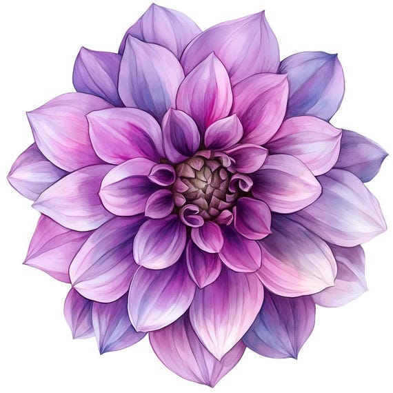 水彩画ダリアの花のクリップアート12点 - PNG花グラフィック、透明な