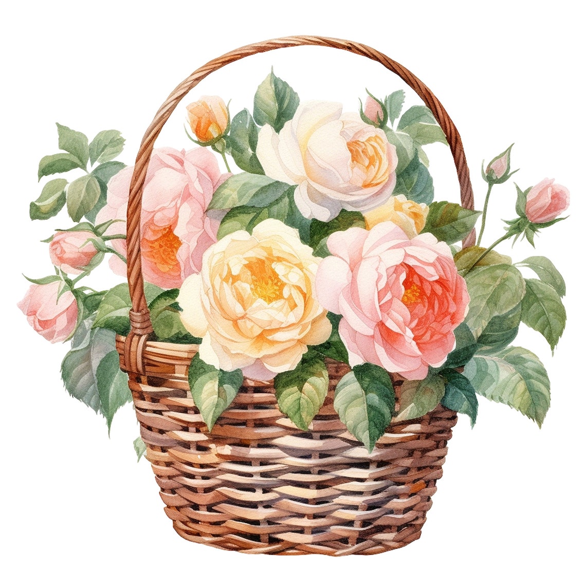 12 Watercolor Basket of English Roses Clipart Digital - Etsy