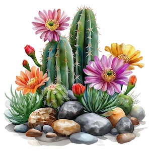 12 Cactus Garden Watercolor Clipart Botanical Graphics - Digital Download PNG Files Transparent Background For Stationery, Papercrafting
