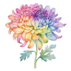 10 Watercolor Pastel Rainbow Flowers Clipart - Printable PNG Files ...