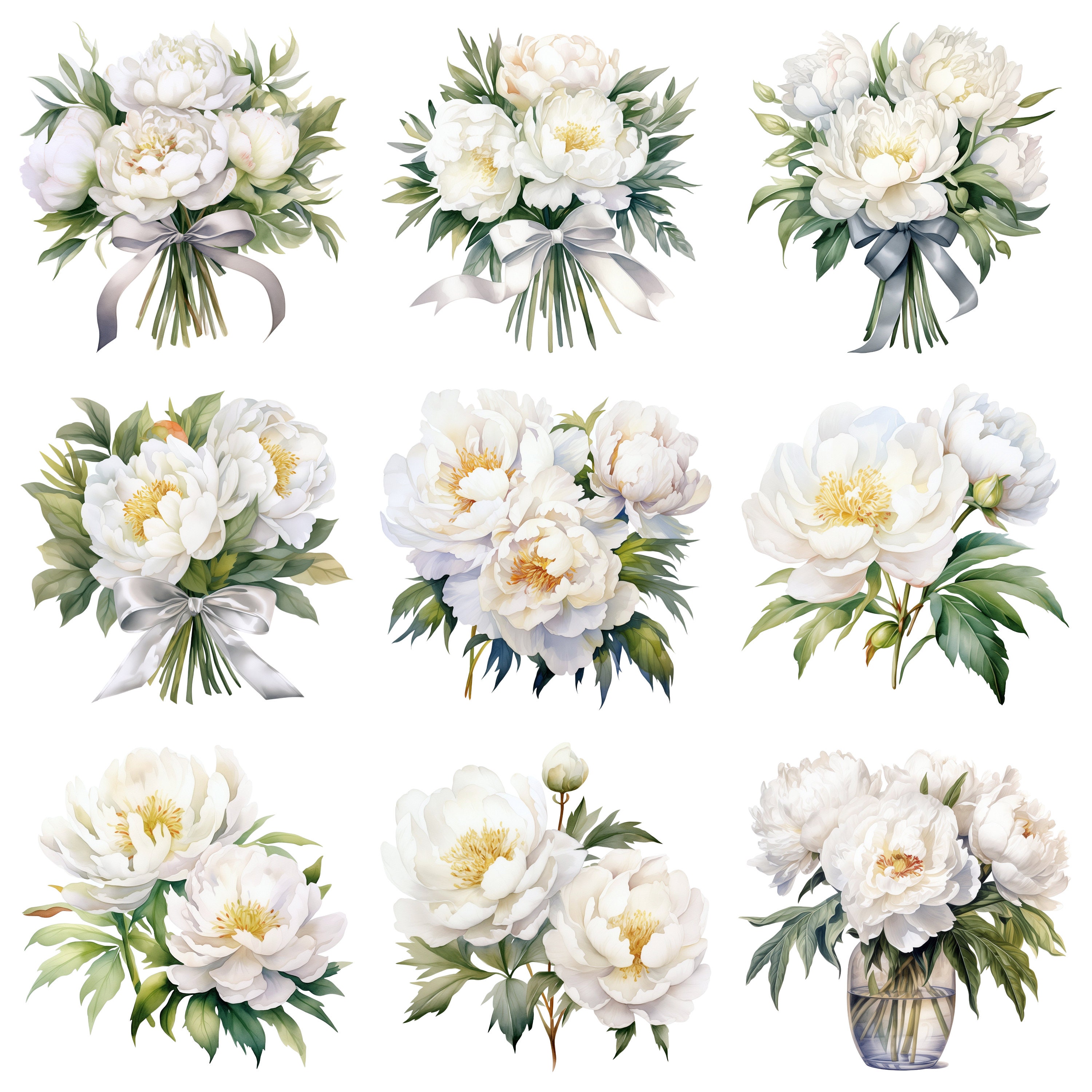 Watercolor White Peonies Clipart Graphics - Digital Download PNG Files ...