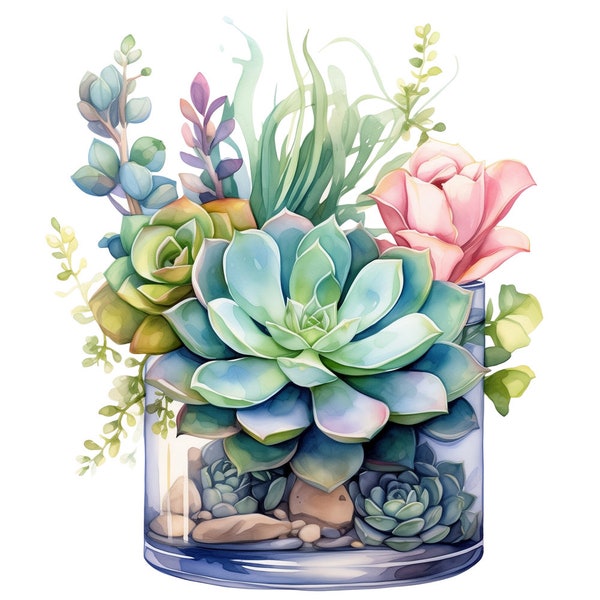 16 Succulents in Glass Vase Watercolor Clipart Botanical Graphics - Digital Download PNG Files - Transparent Background - Cards, Papercraft