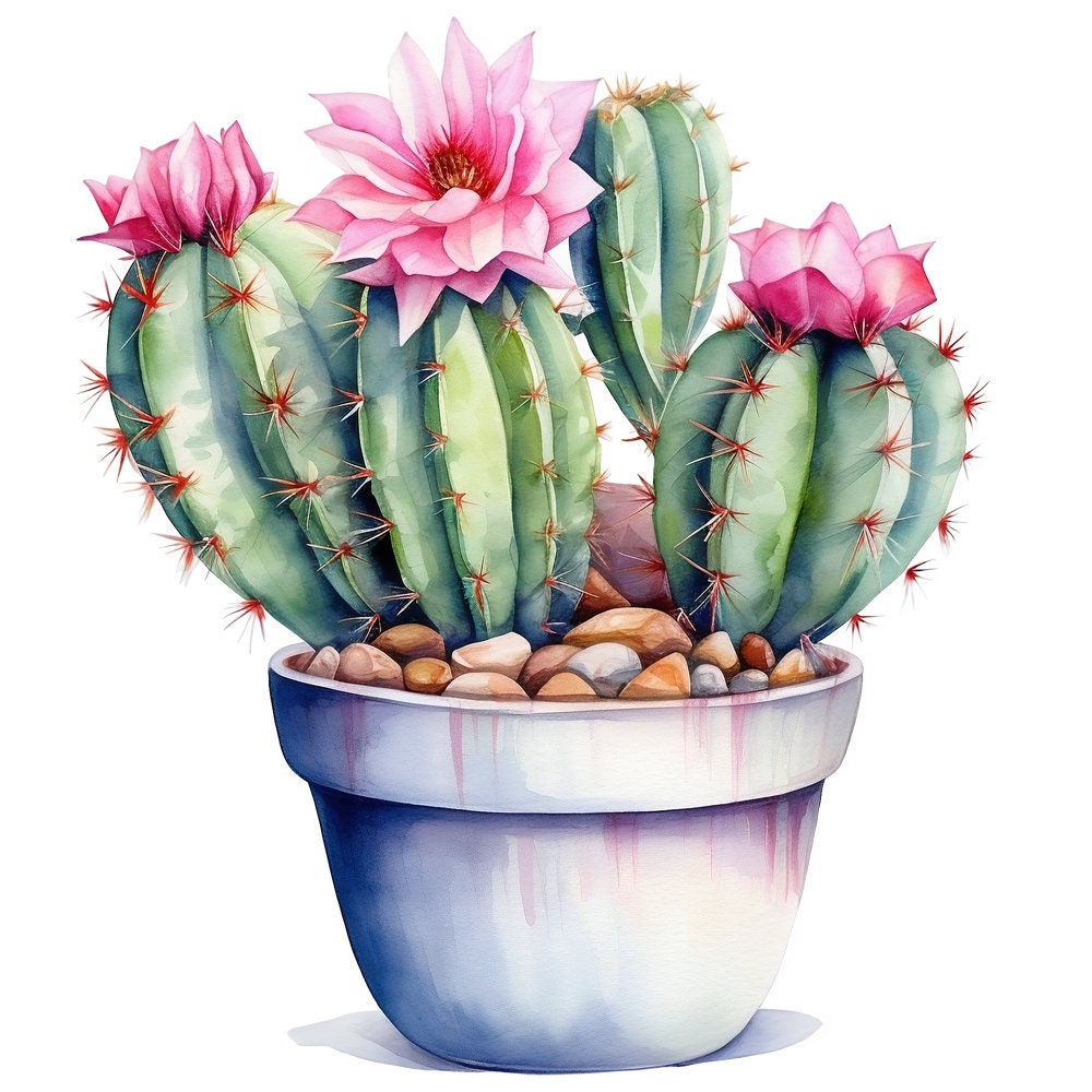 Watercolor Potted Cactus Clipart Graphics - Printable PNG Files ...