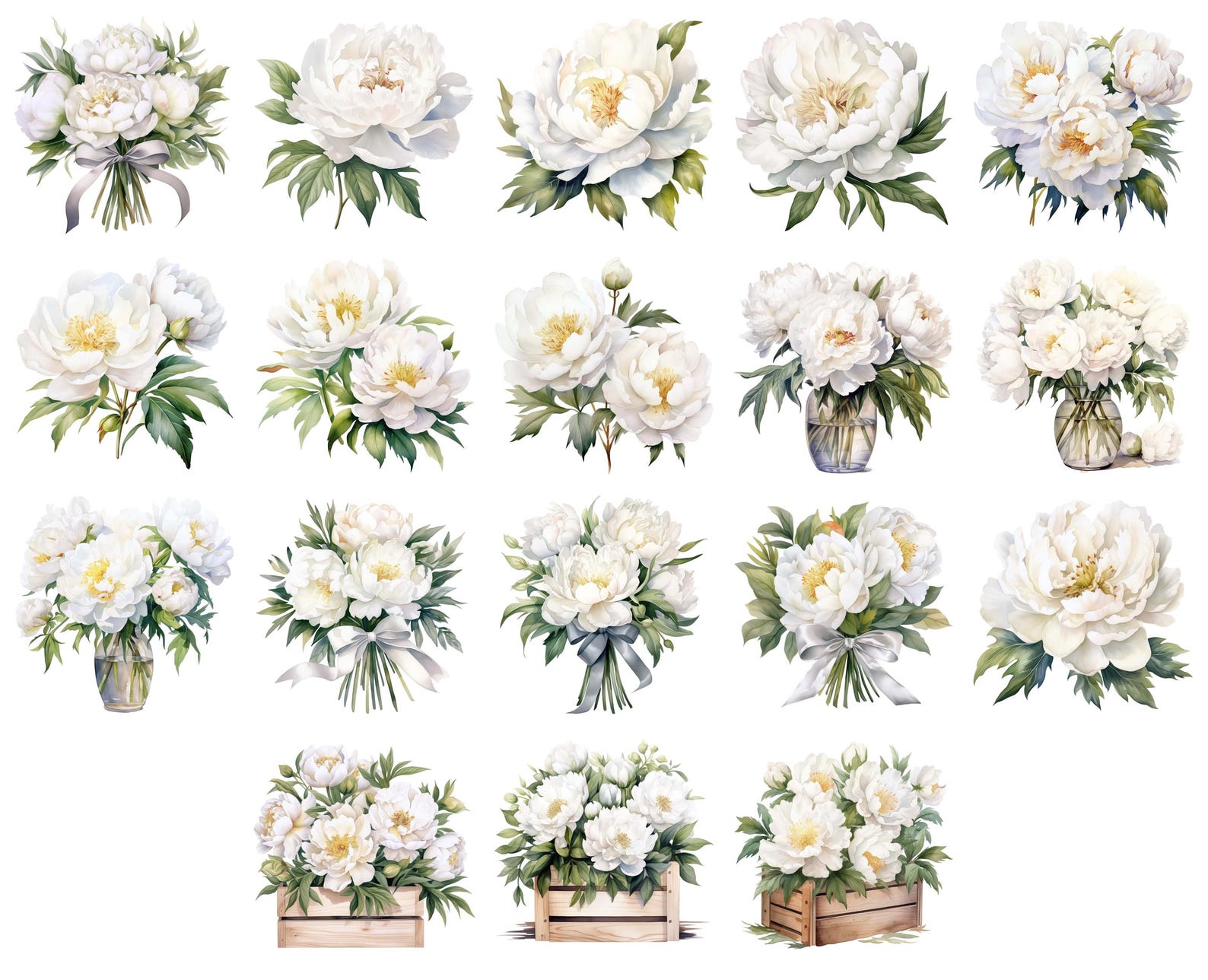 Watercolor White Peonies Clipart Graphics - Digital Download PNG Files ...